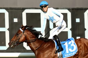 Straight Shorts - Friday March 28 - Private Harry in stud and Everest deal, Cup sponsor extends, Yulong powers on, Star set for Gold Coast and Ghibellines' six-timer in NZ