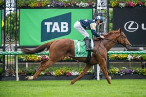 Run The Numbers – The record arc of French-bred success in Australia