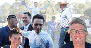 Zhang does Private Harry deal, Field to work with small breeders, Easter on internationals’ radar and NZ stallion stats