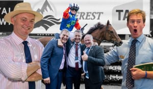 Bidding for Bella - Sales companies pitch for Everest winner as buyers contemplate her price