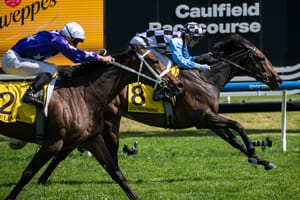 Racing Victoria, MRC abandon Thousand Guineas November date in spring overhaul
