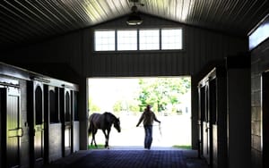 2025 Stallion Fees - Latest