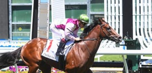 Straight Shorts - Wednesday April 9 - Coleman share sells online, record result for World Pool, Atishu ready for finale, Alligator Blood retired