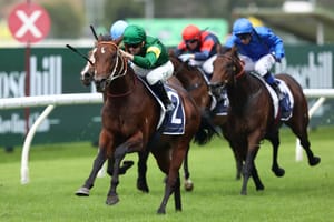Champagne and Caviar - the omens surrounding Nepotism’s Group 1 bid