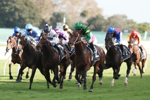 Run The Numbers – A family first for Nepotism