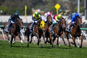 17 days of dominance – Australia’s biggest betting races