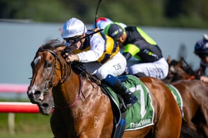 Straight Shorts - Tuesday April 29 - Lady Laguna and Skirt The Law added to Millions sale, Makarena for Chairman's, Entain confirms CEO role, day one from Warrnambool
