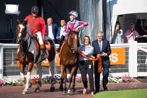 Selling down - former fund manager Perry continues his exit from breeding industry