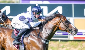 Can Overpass make it a three-peat in the 2025 Kia Quokka?