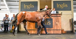 Twenty-five seven-figure lots power a record Inglis Easter result