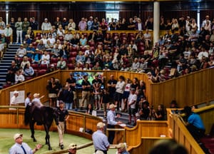 Straight Shorts - Tuesday May 6 - A Karaka shake-up, Tabcorp's live play, Frankie goes to Stake, Tarzino leads Westbury roster