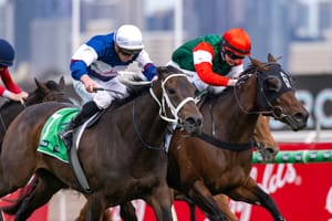 Going global - New Zealand syndicator making most of established and new frontiers