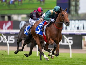 Armidale backs Bodyguard to boost Tassie fortunes