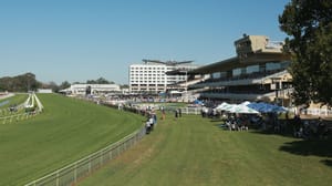 Ugly duckling becomes central to ATC selling its golden goose