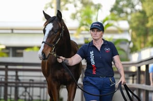 Malone takes contrasting paths in deep weanling market