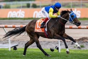 Straight Shorts - Thursday May 15 - Star additions to Magic Millions sale, Without A Fight retired, spring beckons for Biologics, NZB finalises weanling catalogue