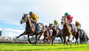 Belmont on indefinite hold as turf, geoscience experts called in to investigate track mystery