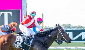 Straight Shorts - Thursday May 1 - Quokka in black-type move, I Am Invincible colt to stand in Victoria, jumps double for Duke Of Bedford, Maher trains Warrnambool Cup winner, Flutter continues expansion
