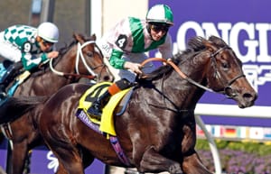 Starlust a 'game-changer' as Riverstone launches into stallion game