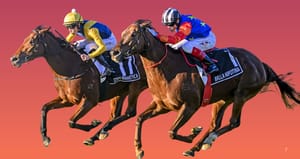 Queensland Racing Carnival takes winter spotlight