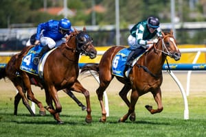 Tail of the tape - a report card on 2024’s million-dollar yearlings