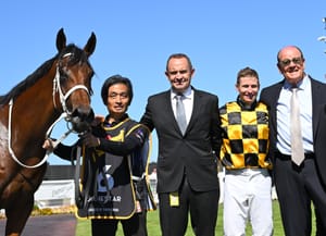 Run The Numbers – Trainers maketh the stallion