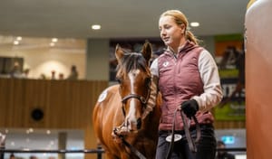 Straight Shorts - Friday June 13 - Ole Kirk filly fetches $475,000, retirement looms for injured Kimochi, Lane rides in Cox Plate qualifier, Belmont update