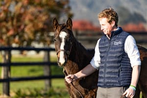 Winx’s Snitzel colt to headline Inglis Easter 2026