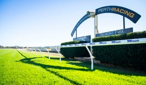 Belmont racetrack issue unresolved as analysis continues