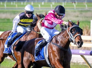 New blood, old formula for Peters’ next generation