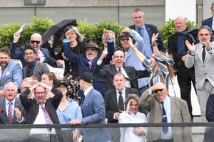 The rising cost of racing – New analysis points to owners’ increasing pain