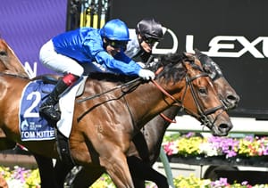 The chosen nine - Godolphin unveils its post-Cummings Australian training roster