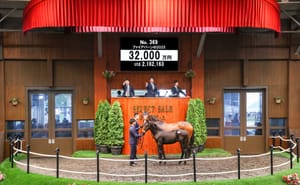 Fireburn’s bright - Golden Slipper winner’s first-born foal sells for $3.3 million in Japan