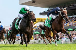 Run The Numbers – The ongoing collapse of Australian two-year-old racing