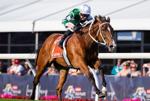 Run The Numbers – The stats that matter on the 57 Australian Group 1 winners of 2024/25