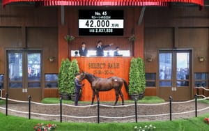 Yankee Rose and Mosheen progeny sought after at Japan Select Sale
