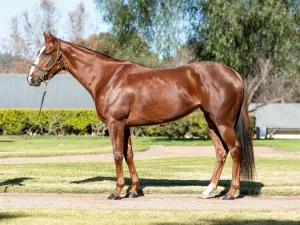 Velocious sells for $1.625 million
