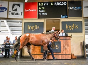 Inglis looks to build on successful year as 2026 yearling entries open