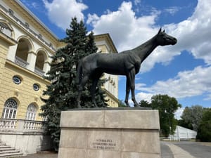 ‘A daisy-eating, scenery-loving, sleepy-eyed and slightly pot-bellied hussy’ – The legend of unbeaten Kincsem lives on in Hungary