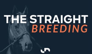 Olentia follows Espiona's Magic route