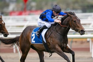 Asfoora midfield in King George