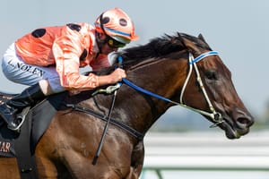 Beyond Black Caviar – The legacy of equine perfection lives on for Neil Werrett