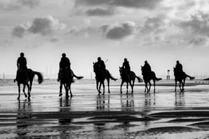 Maranoa Charlie an Arqana success story for Australian Peter Maher