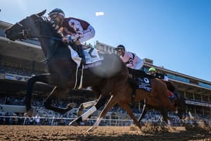Brookdale sells its share in US Horse of the Year Thorpedo Anna