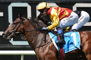 A numbers game - Gary Crispe’s quest to figure out racing’s never-ending puzzle