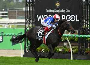 Why competition for recruiting international horses to Australia is greater than ever