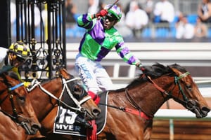 Dressed for success - Nichols springs into action with blueblood filly