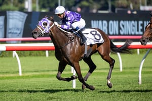 Virtual Star - Olentia makes $2.6 million at Magic Millions sale