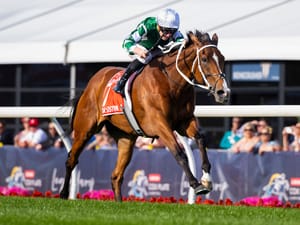 Finalists unveiled for Australian Racehorse of the Year