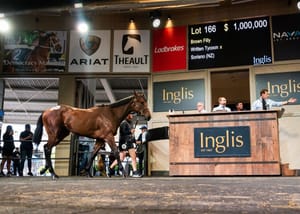 Inglis Ready for two-year-old sale after catalogue release